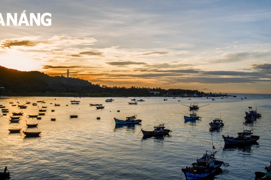 Nghiên cứu tài nguyên vịnh Đà Nẵng phục vụ phát triển kinh tế biển