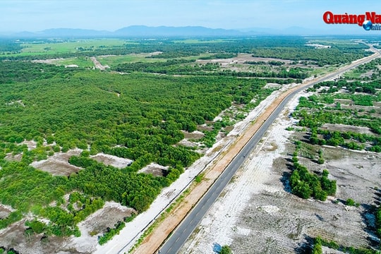 Nỗ lực giữ rừng ven biển