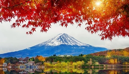 Charter Nhật Bản "Mùa lá đỏ - Chưa xa đã nhớ"