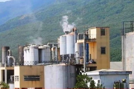 Công ty CP Nhiên liệu sinh học Tùng Lâm mong được vận hành để xử lý dịch tồn kho