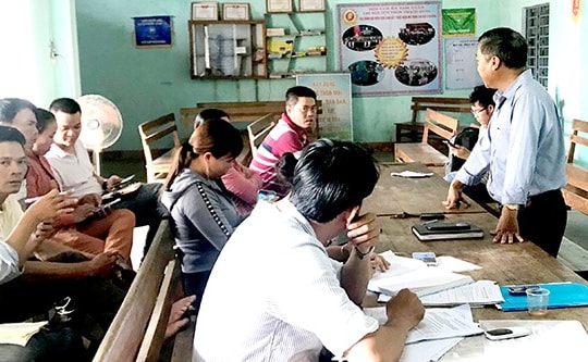 Vụ nhổ nhầm keo của dân: Vẫn chưa thống nhất phương án đền bù