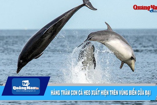 Video điểm tin tức sự kiện hằng tuần (tuần thứ 40, tháng 10.2019)