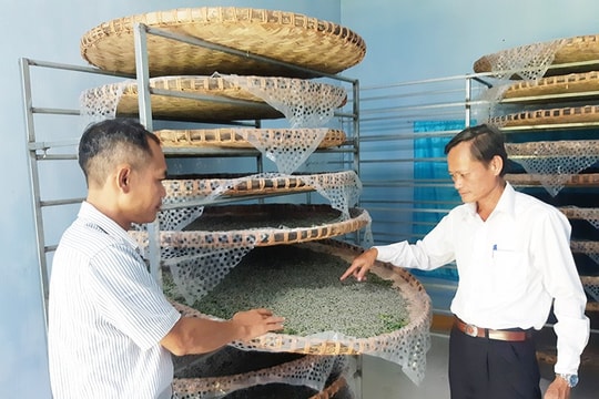 Chuyển giao công nghệ trồng dâu nuôi tằm