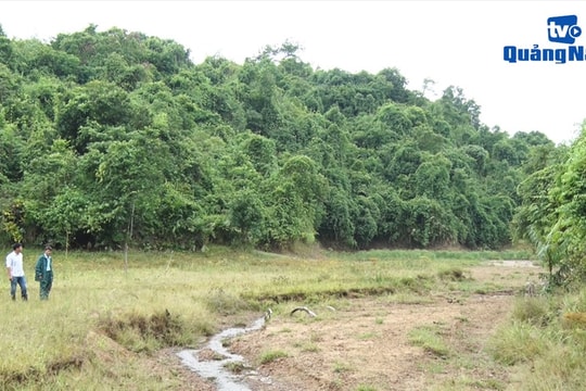 Thi công đường làm bồi lấp hồ thủy lợi Dùi Chiêng