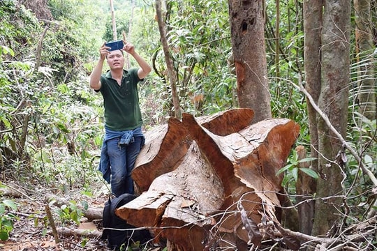 Hội nghị cộng tác viên tiêu biểu Báo Quảng Nam năm 2019: Kết nối, đồng hành và lan tỏa