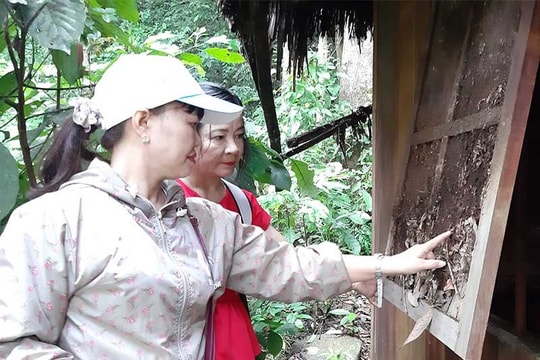 Di tích lịch sử Đặc khu ủy Quảng Đà: Cần được giữ gìn, phát huy giá trị