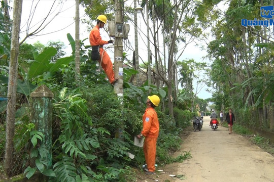 Điện lực Quảng Nam đồng hành xây dựng nông thôn mới