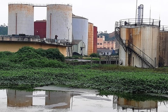 Vụ tràn dầu tại Nhà máy cồn Đại Tân: Phải cam kết với dân không để xảy ra sự cố môi trường tương tự