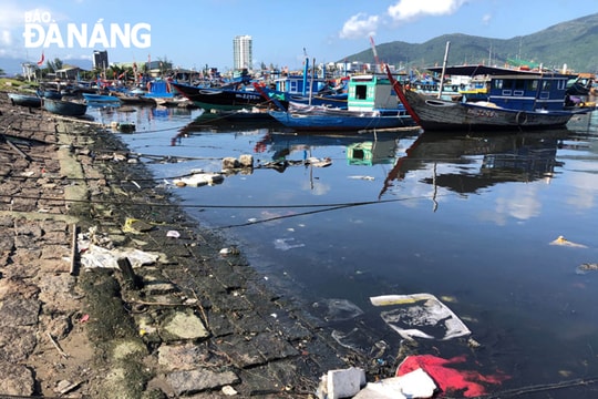 Cần sớm xử lý tình trạng xả rác xuống âu thuyền Thọ Quang