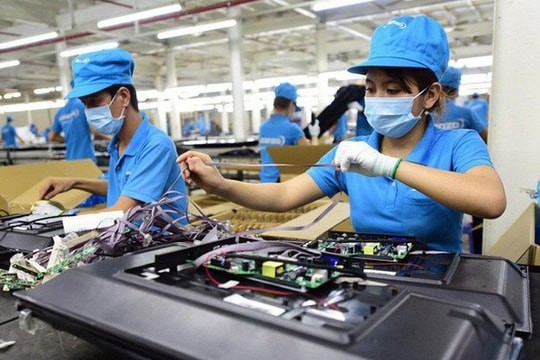 Triển khai giải pháp thúc đẩy phát triển kinh tế tư nhân