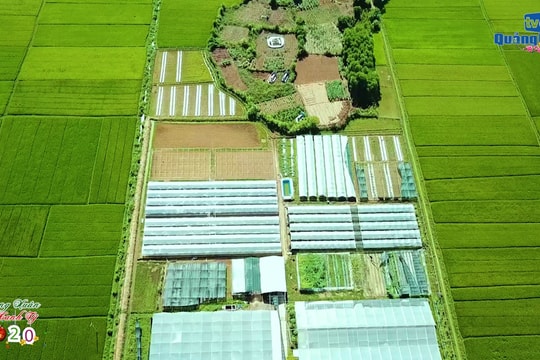 Nỗ lực thu hút đầu tư vào nông nghiệp, nông thôn