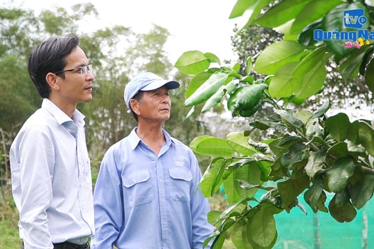 Vì dân phục vụ