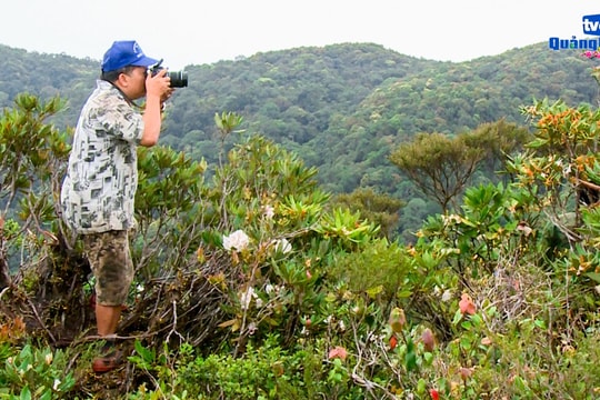 Từ những cánh rừng di sản Tây Giang