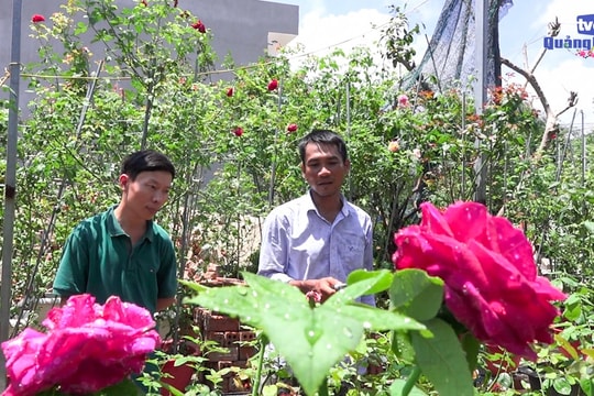 Chàng kỹ sư mê hoa hồng