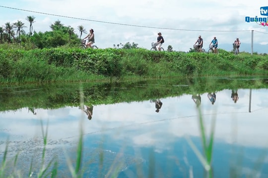 Hướng đi bền vững từ du lịch trải nghiệm