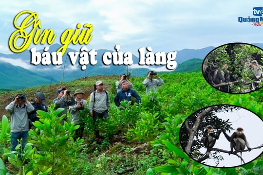 Gìn giữ báu vật của làng