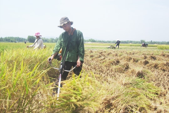 Thay thế 4 thủ tục hành chính thuộc thẩm quyền Sở NN&PTNT