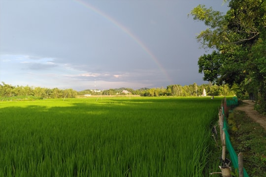 Điều chỉnh 5 quy trình nội bộ giải quyết TTHC thuộc Sở NN&PTNT