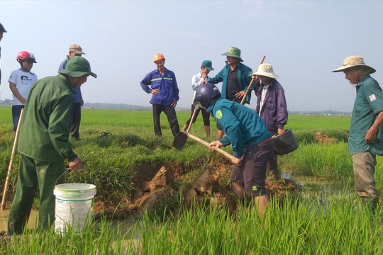 Diệt chuột bảo vệ mùa màng