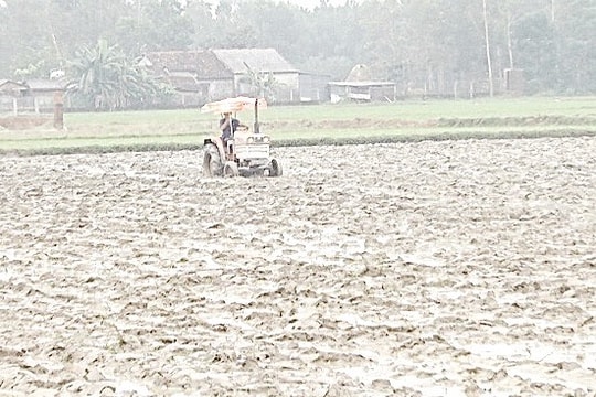 Hiệu quả từ cơ giới hóa trong sản xuất