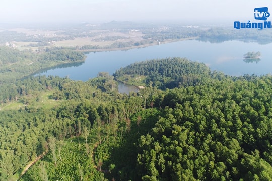 Giải quyết hậu quả cho sự buông lỏng quản lý, bảo vệ rừng