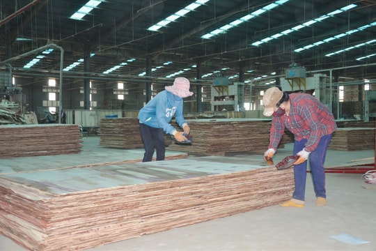 Ngành gỗ rộng đường vào EU