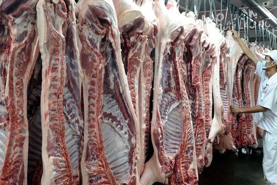Giá thịt heo giảm sâu