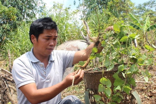 Gương sáng làng Achoong