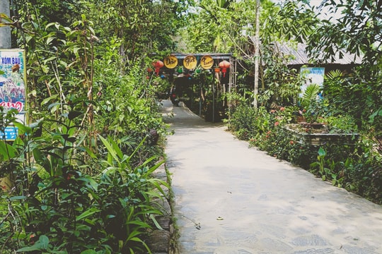 Khởi sắc trên vùng quê xóm Bàu