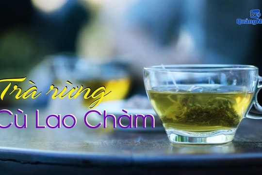 Chuyên mục OCOP: Trà rừng Cù Lao Chàm