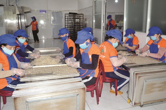 Hành động vì an toàn thực phẩm: Cần giải pháp đồng bộ