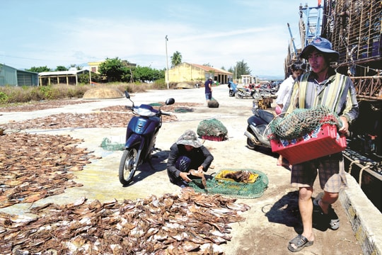 Triển khai Luật Thủy sản 2017: Bất cập từ cảng cá