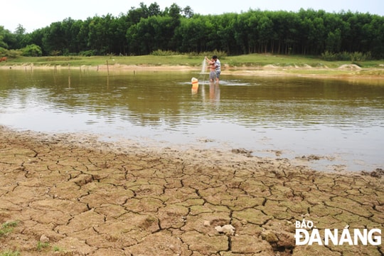 Bỏ ruộng hoang hoặc chuyển đổi cây trồng vì nhiều hồ cạn nước