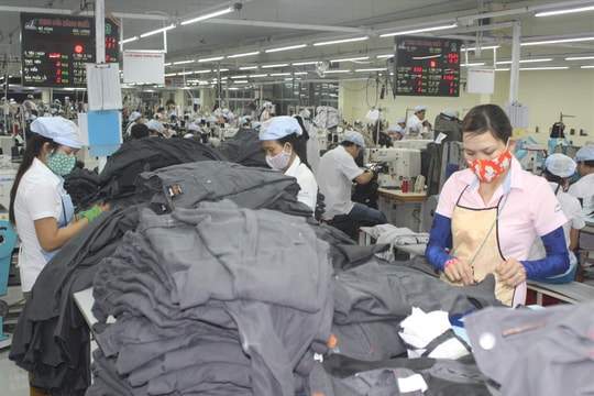 Quy định mới về mức đóng BHXH bắt buộc vào Quỹ bảo hiểm tai nạn lao động, bệnh nghề nghiệp