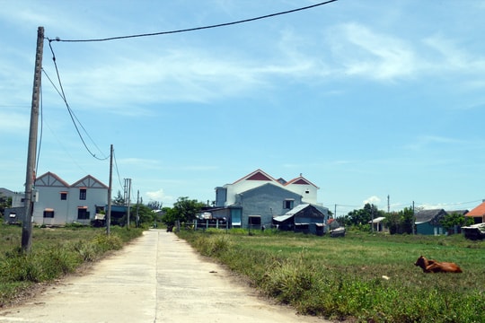 Rắc rối từ một lời hứa...