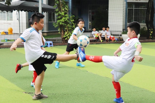 Giáo dục toàn diện của Sky Line