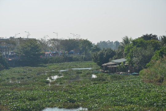 Chất lượng nguồn nước được cải thiện