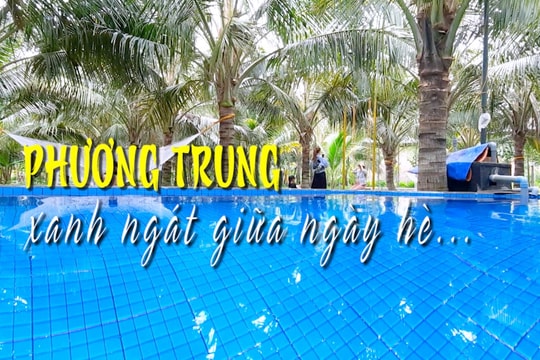 Phương Trung – xanh ngát giữa ngày hè…