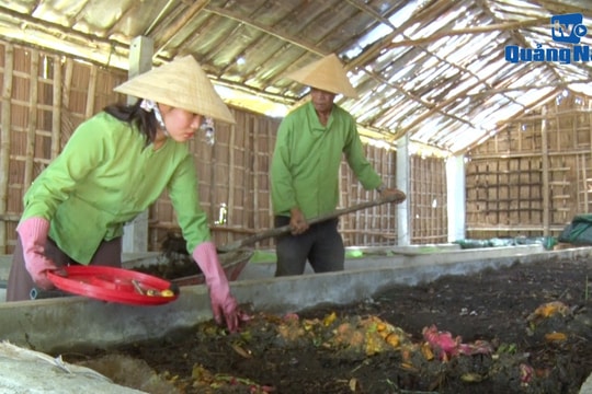 Vòng tròn hữu ích của rác hữu cơ