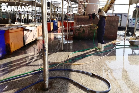 Giám sát xả thải tại âu thuyền Thọ Quang bằng camera