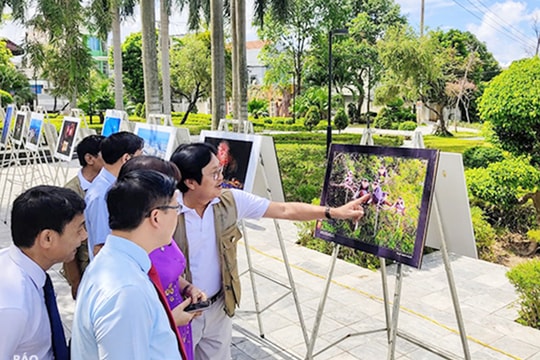 Triển lãm ảnh nghệ thuật hai thành phố biển Đà Nẵng-Cẩm Phả