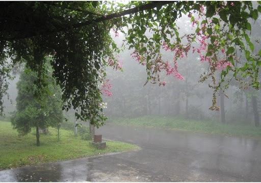 Chiều mưa phố núi…