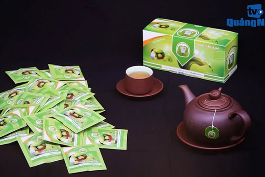 Khởi nghiệp với quả nhàu