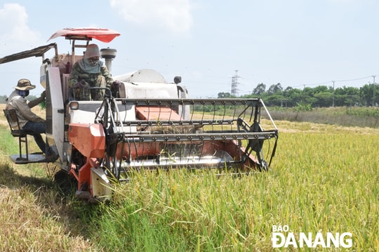 Đẩy mạnh cơ giới hóa, hiện đại hóa ngành nông nghiệp