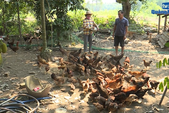 [VIDEO] - Phụ nữ Bình Sơn thoát nghèo từ mô hình tiết kiệm tín dụng