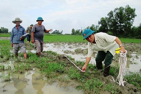 Điện Bàn:Tiếp tục dồn điền đổi thửa 910ha đất nông nghiệp