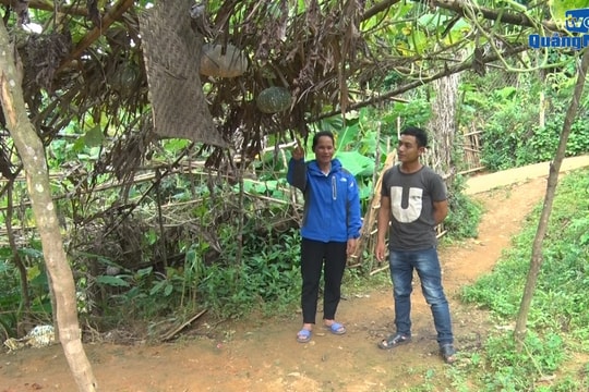 [VIDEO] - Cán bộ, đảng viên giúp dân thoát nghèo