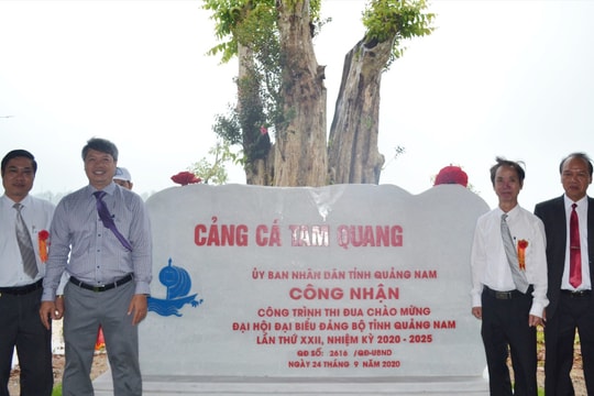 Gắn biển công trình cảng cá Tam Quang chào mừng Đại hội Đảng bộ tỉnh
