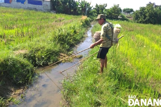 Xử phạt nghiêm hành vi đánh bắt cá bằng kích điện