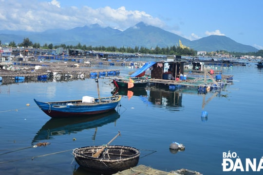 Sớm chấm dứt tình trạng nuôi cá lồng bè trên sông, vịnh